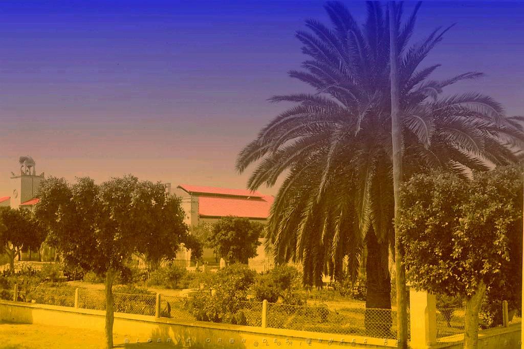 SAINTE BARBE DU TLELAT 503  JARDIN PUBLIC.jpg